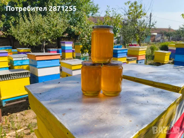 Пчелен мед от производител , снимка 2 - Пчелни продукти - 55341534