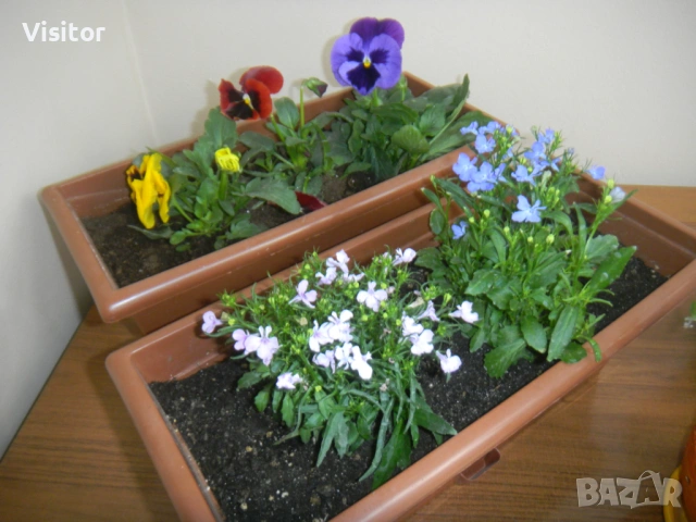 Nikon Coolpix S1100pj   14.1 mPx, снимка 9 - Фотоапарати - 54349656