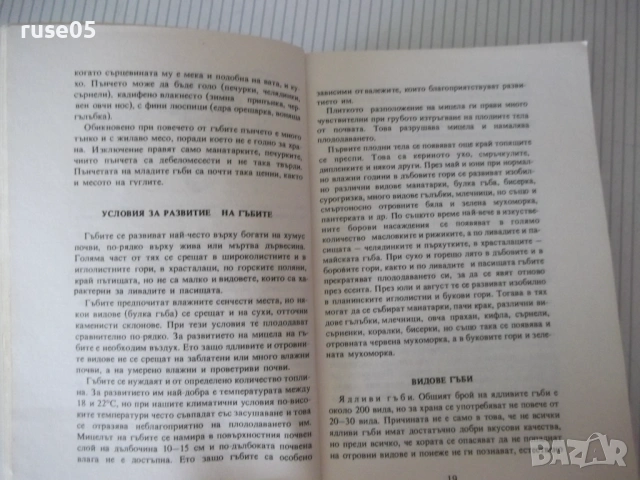 Книга "Нашите гъби - Ц.Хинкова/М.Друмева-Димчева" - 400 стр., снимка 4 - Енциклопедии, справочници - 54929593