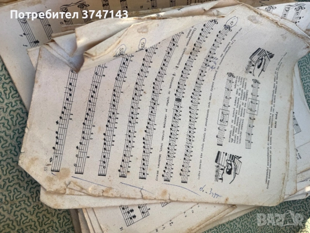 Акордеон Weltmeister, снимка 5 - Акордеони - 54313574