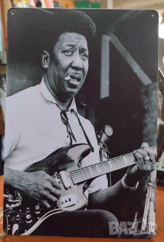 Muddy Waters-метална табела(плакет)
