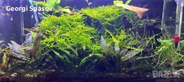 Продавам 25 литров аквариум