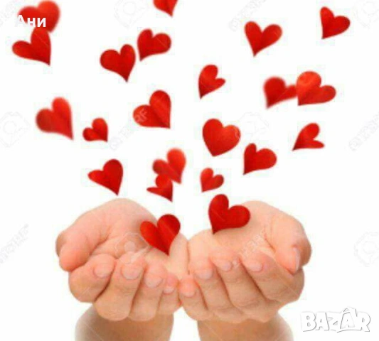 Шепичка Любов.Котенца Мечта., снимка 6 - Британска късокосместа - 54254983