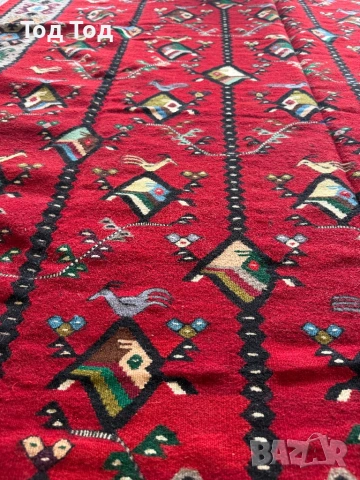 Чипровски Пилетата нов , снимка 5 - Килими - 54621144