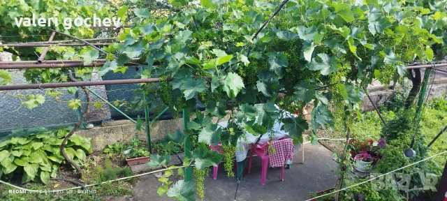 Продава се къща в с.Садовец-Плевенско .86 квадрата къща.На два етажа. Двор-560 кв.м., снимка 9 - Къщи - 55072700