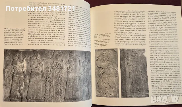 Assyrian Sculpture, снимка 8 - Изкуство, музика, кино и фотография - 55361808