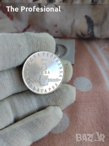 Две Петолевки., снимка 6 - Нумизматика и бонистика - 55086950