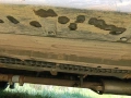 Хонда crv Honda 1998 LPG automatic панорама, снимка 15