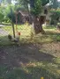 Свободни петли Родайланд и Маран черно сребро, снимка 5
