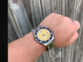 Citizen Automatic NJ0170-83Z, снимка 13
