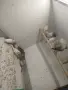 Японски амадини. , снимка 5