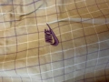 Nike къси мъжки панталони М, снимка 5
