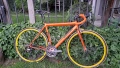 Шосеен велосипед Gazelle Primavera, снимка 1