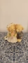 Сувенир мечета- младоженци, подаръчета за гости на сватбата , снимка 1