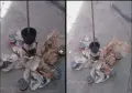 Полилейни тела и плафони, снимка 3