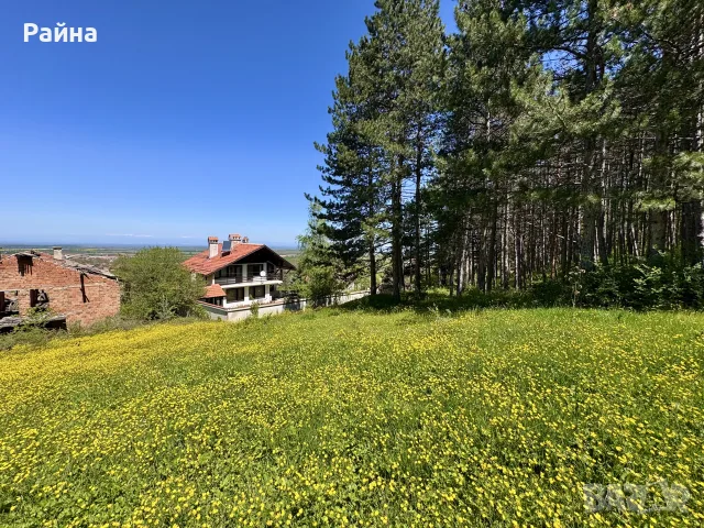 Топ Панорамен парцел с.Тополово, снимка 2 - Парцели - 55383165