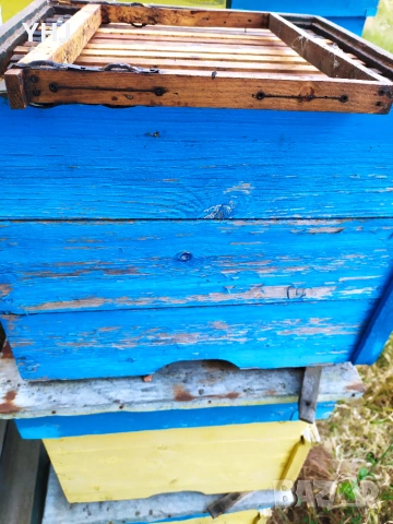 Продавам пчелни кошери, снимка 5 - За пчели - 54674319