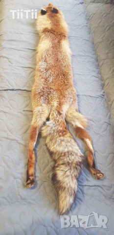 Шал от лисисица , снимка 2 - Шалове - 54230043