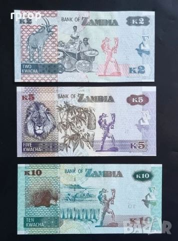7 евро за трите.
Замбия.
2 , 5 и 10 квача.
Серия  2012 година.
UNC., снимка 2 - Нумизматика и бонистика - 47879157
