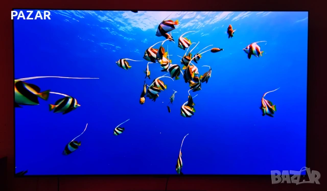 LG OLED evo 65C21LA.
