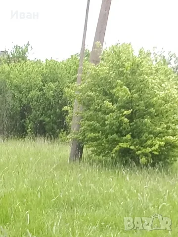 Продава имот със стара къща село Извор Софийско, снимка 5 - Къщи - 55535316