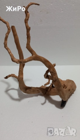 Корен от Азалия /декорация/ 46