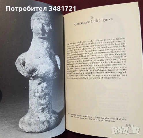 Illustrations of Old Testament History, снимка 7 - История, политика и общество - 55065683
