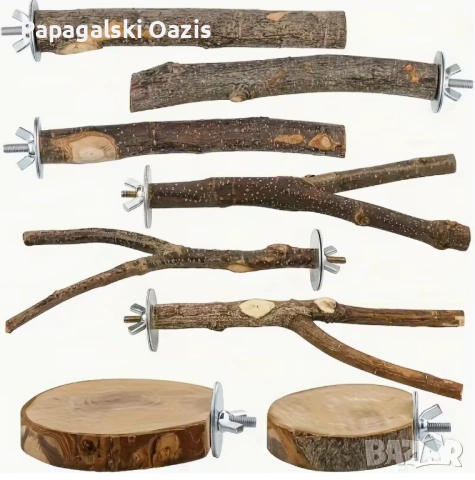 8 Кацалки за малки папагали, подходящи за вълнисти, корели, пирури, конури, кайкове и други