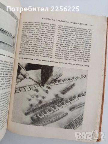 Българска пчеларска енциклопедия, снимка 5 - Специализирана литература - 54790718