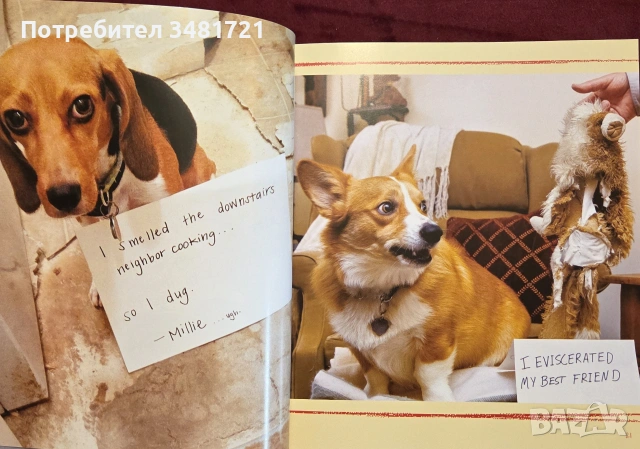 Dog Shaming, снимка 3 - Други - 55064833
