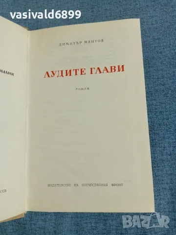 Димитър Мантов - Лудите глави 