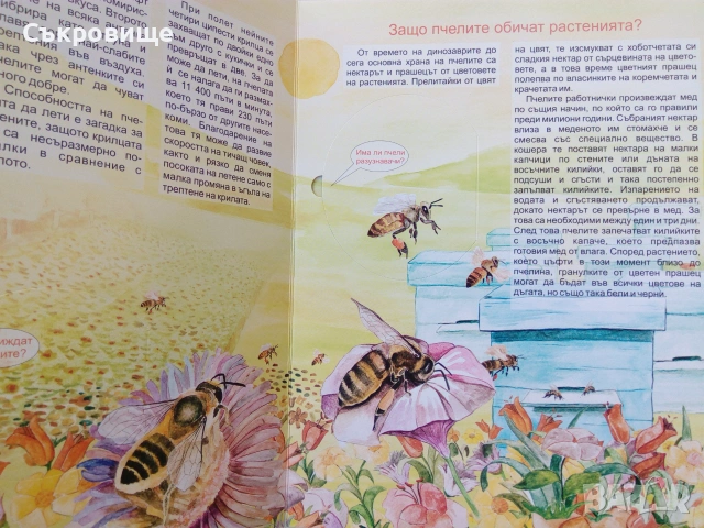 Детска картонена книжка с капачета голям формат Пчелите Загадките на природата, снимка 3 - Детски книжки - 43302877