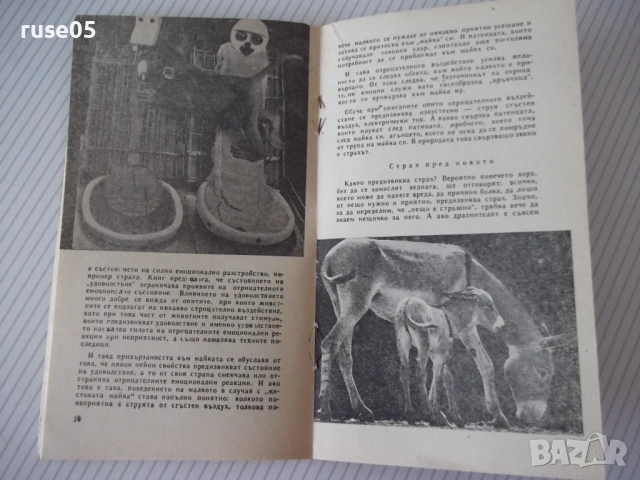 Книга "Животните в първи клас - Е. Рутман" - 30 стр., снимка 4 - Специализирана литература - 54768178