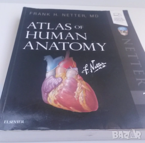 Атлас по анатомия - Atlas of Human Anatomy - Frank H. Netter, MD, 7-мо издание