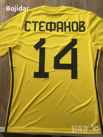 Фланелка на Левски 