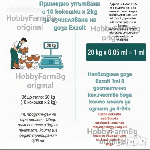 Exzolt / Екзолт 10ml против кокошинки , снимка 5 - За птици - 52972969