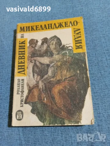 Роландо Кристофанели - Дневник на Микеланджело лудия 