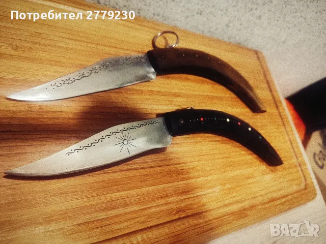 Големи Габровски Сойки Етъра, снимка 13 - Други ценни предмети - 55546286
