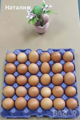 Яйца Л - бели и кафяви, снимка 2 - Други - 54209297