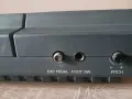 Висок клас йоника Yamaha RS 6100 Vintage, снимка 9
