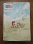 Манга: Wolf Children: Ame & Yuki, снимка 2