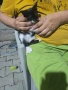 Подарявам малки котенца, снимка 2