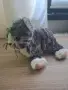 Плюшени коте икеа, снимка 1