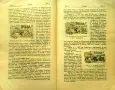 Пчела. Кн. 6 / 1931, Кн. 1 / 1932, Кн. 3 /1934, Кн.12 /1936, Кн. 4 / 1939, снимка 3