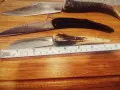 Габровски сойки от колекция Нови!, снимка 12