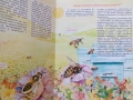 Детска картонена книжка с капачета голям формат Пчелите Загадките на природата, снимка 3