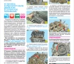 ПЕЖО 4 модела.Ръководства за експлоатация,обслужване и ремонт(на CD), снимка 9