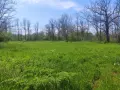 A Fully Legalized, Ready-to-Live Oasis in Blaskovo, снимка 9