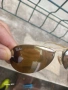 СТАРИ МАРКОВИ МЪЖКИ ОЧИЛА RAY-BAN , снимка 5