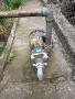 Помпа за вода Вида 4, снимка 4
